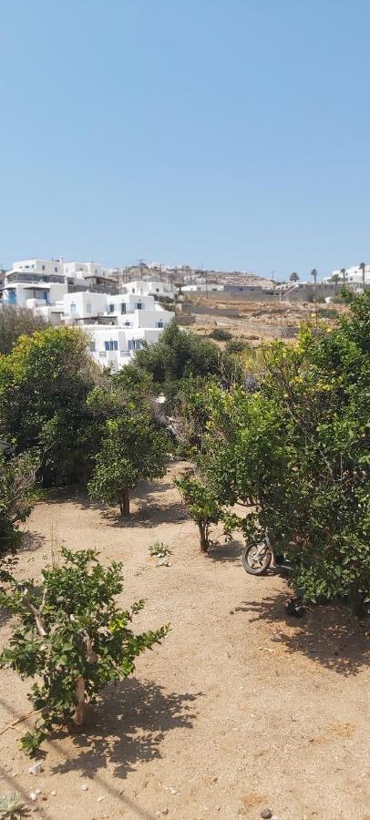 Demis Mykonos Stay 2 Платис Ялос Экстерьер фото